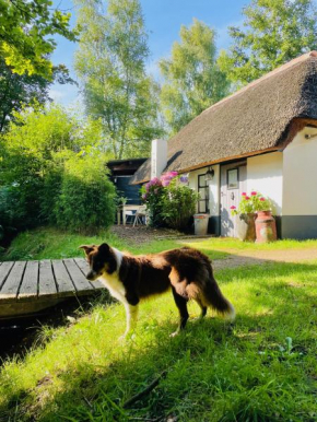 Bakhuisje op de Veluwe